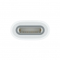 Preview: APPLE USB-C auf Apple Pencil Adapter