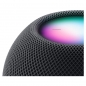 Preview: APPLE HomePod mini, space grau