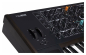 Preview: ARTURIA PolyBrute NOIR
