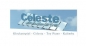 Preview: MODARTT Celeste Add On (Download)