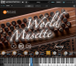 Preview: PSOUND World Musette (Download)