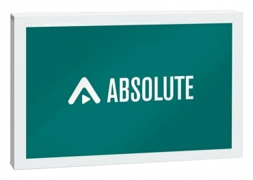 STEINBERG Absolute 6 (Download)