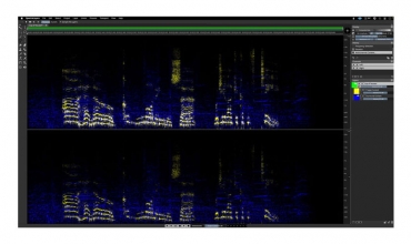 STEINBERG SpectraLayers Pro 10 (Download)