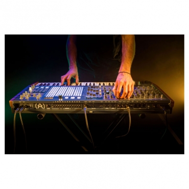ARTURIA MatrixBrute