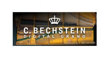 MODARTT C. Bechstein DG Add On (Download)